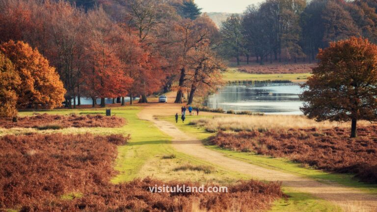 حديقة ريتشموند بارك لندن Richmond Park